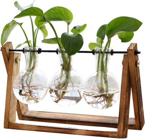 XXXFLOWER Plant Terrarium with Wooden Stand